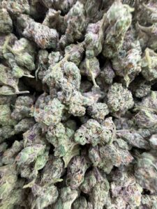 Gelato S1 Small gelato s1 small