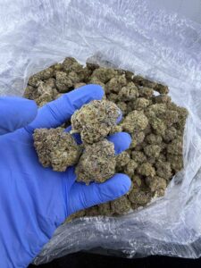 Master Kush master kush