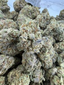 Master Kush master kush
