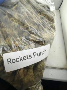 Rockets Punch Strain rockets punch strain