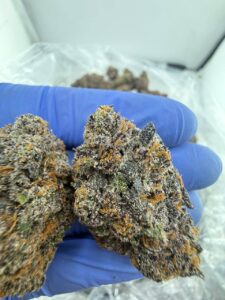 Bodega Candy Strain bodega candy strain