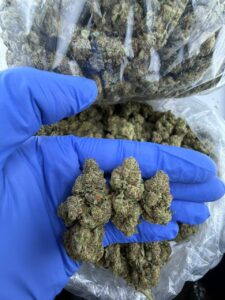 Fire Og Strain fire og strain