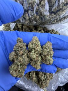 Fire Og Strain fire og strain