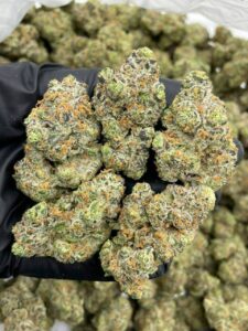 chicken n wafflez strain