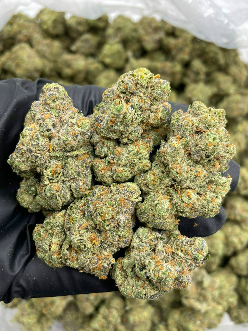 platinum lemonheadz strain platinum lemonheadz strain