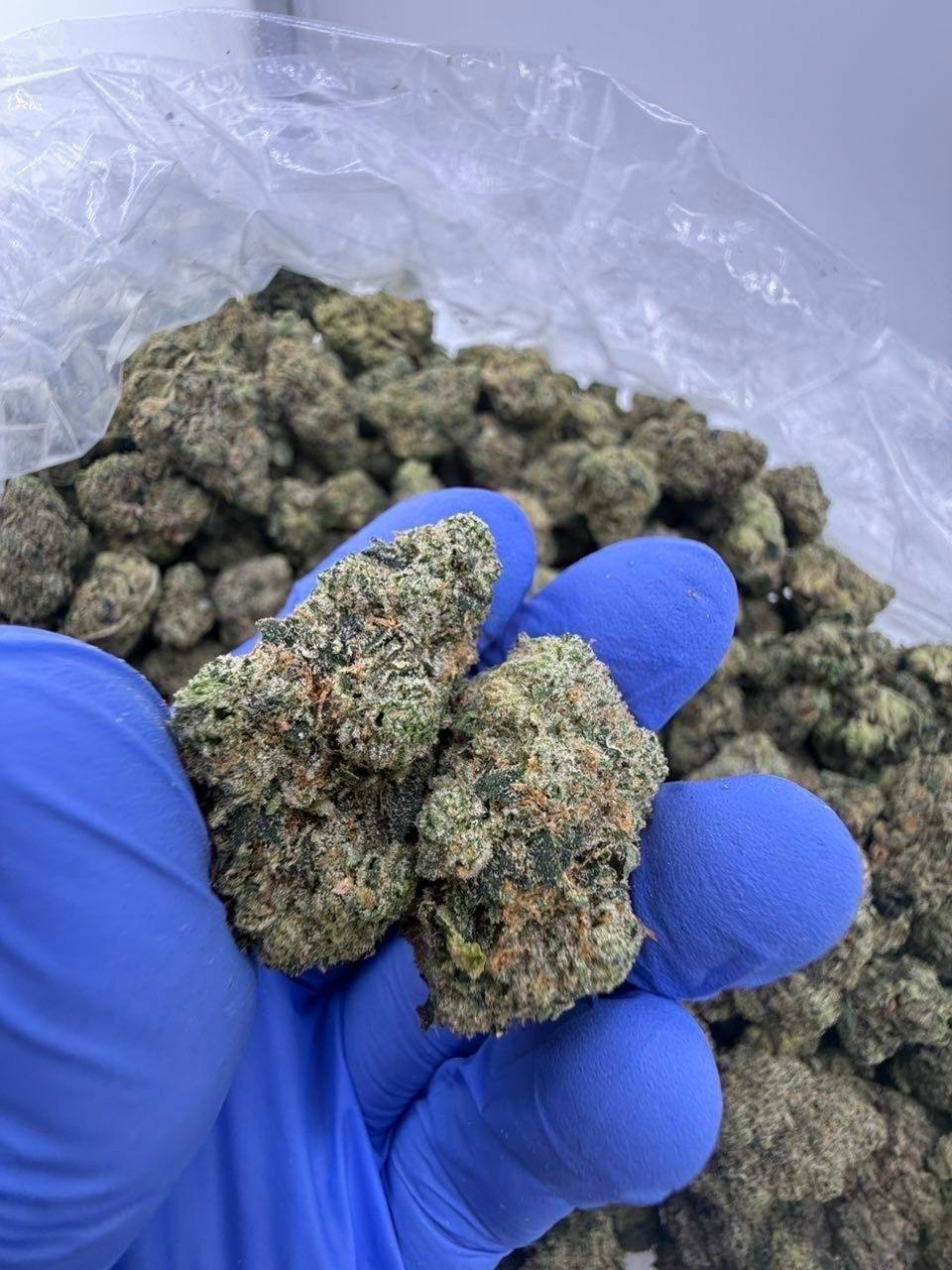zittlez strain zittlez strain