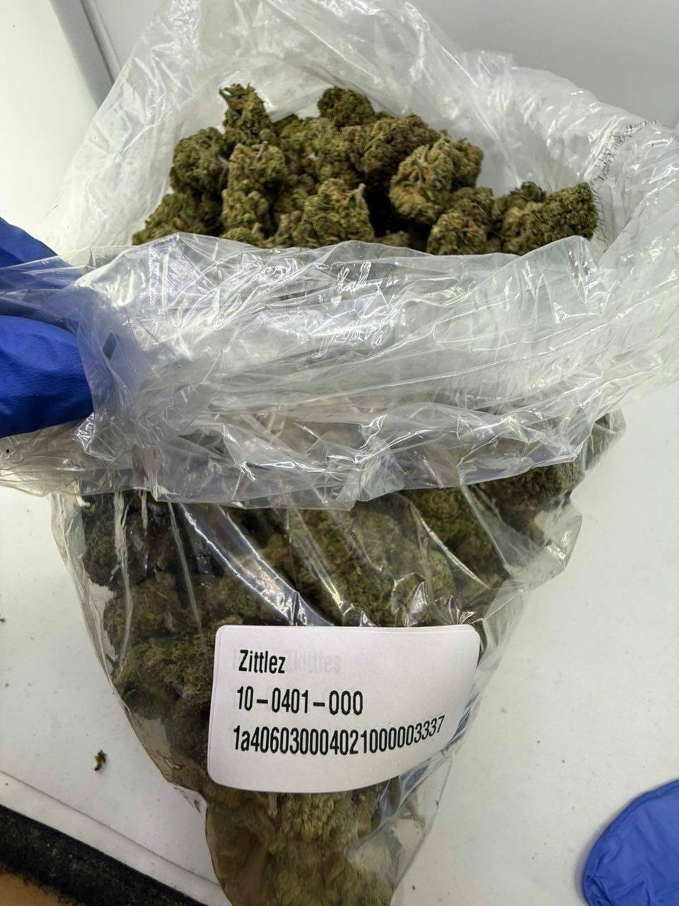 zittlez strain zittlez strain