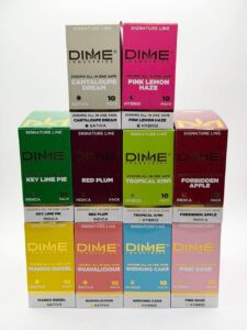 Dime 2G Disposable dime 2g disposable