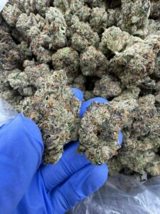 Jolly Rancher Strain jolly rancher strain