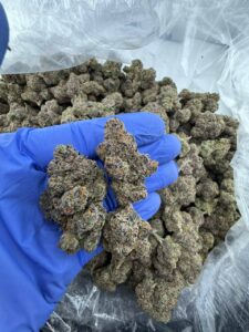 Pink Star Burst Strain pink star burst strain