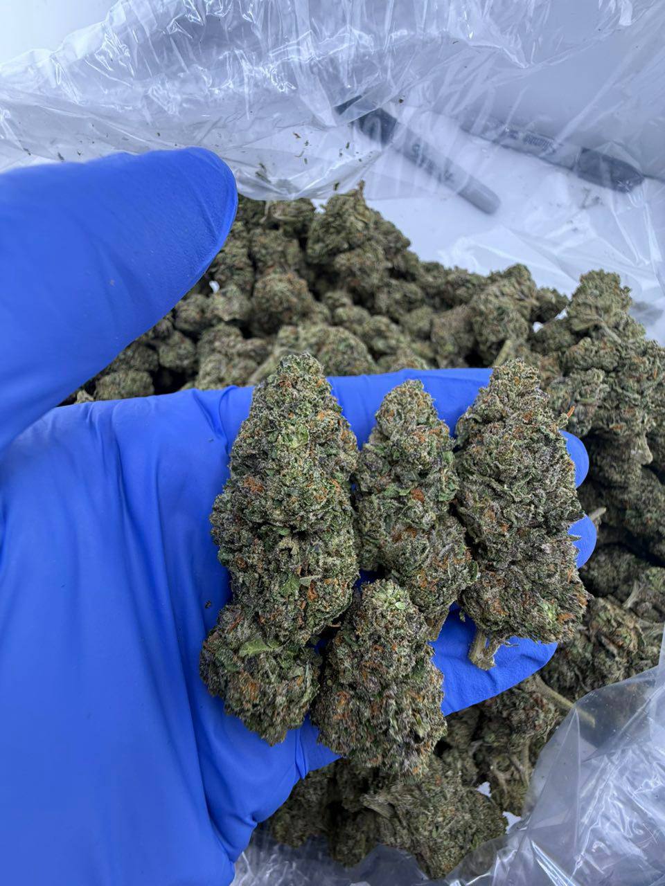 venom og venom og