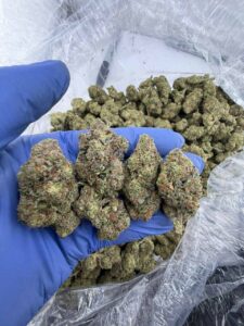 Grape Strain grape strain