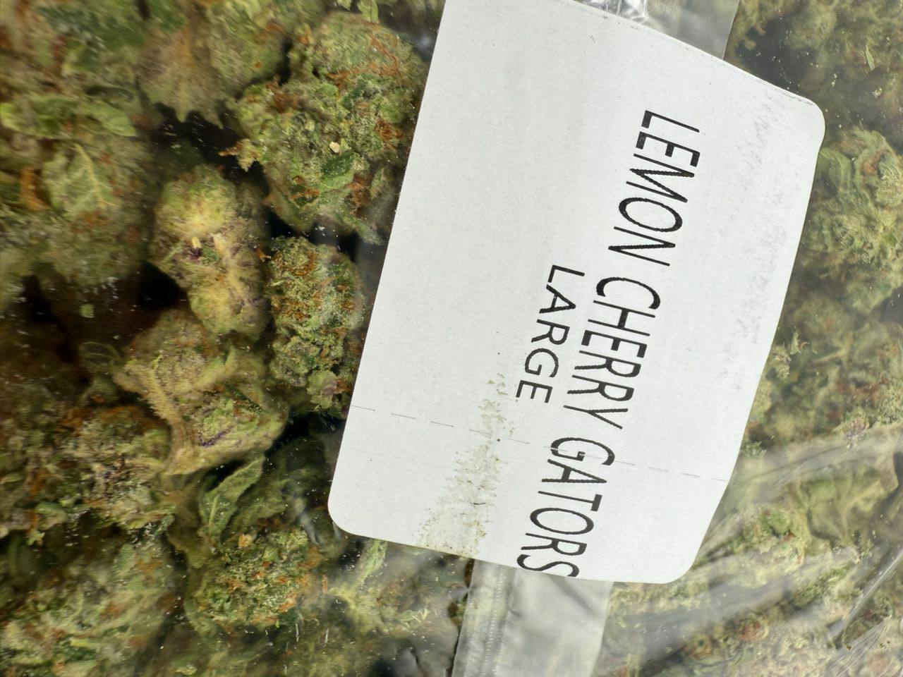 lemon cherry gators strain lemon cherry gators strain