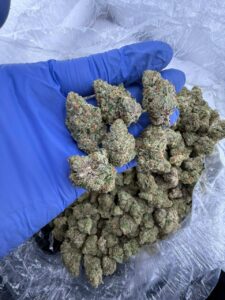 Lemon Cherry Gators Strain lemon cherry gators strain