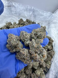 Super Runtz Strain super runtz strain