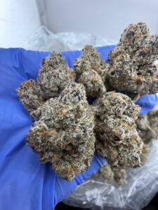 Obama Runtz Strain obama runtz strain
