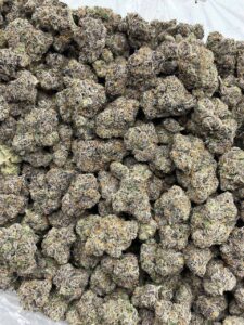 Sour Sake Strain sour sake strain