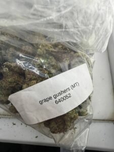 Grape Gushers Strain grape gushers strain