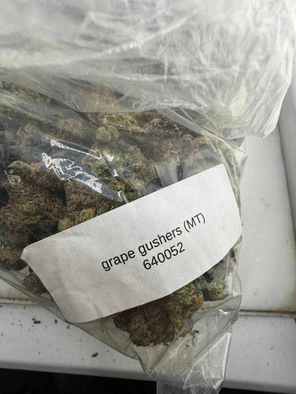 grape gushers strain grape gushers strain