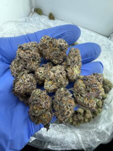 Grape Gushers Strain grape gushers strain