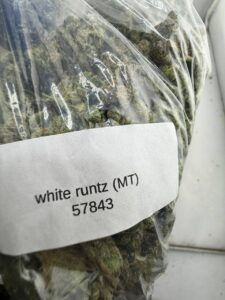 white runtz strain