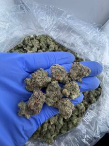 white runtz strain