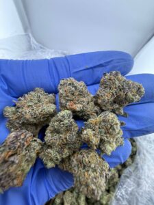 white runtz strain