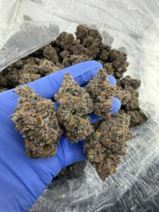 Megatron Strain megatron strain