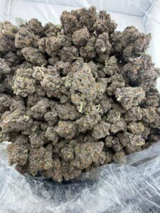 Megatron Strain megatron strain