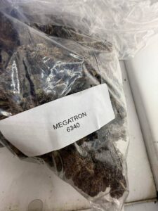 Megatron Strain megatron strain