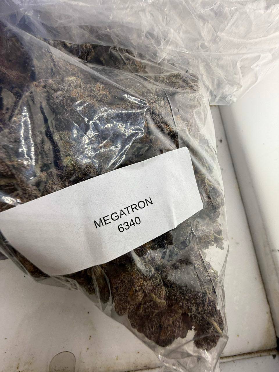 megatron strain megatron strain