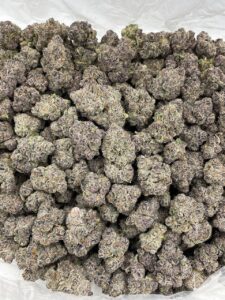applescotti strain