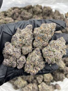 applescotti strain