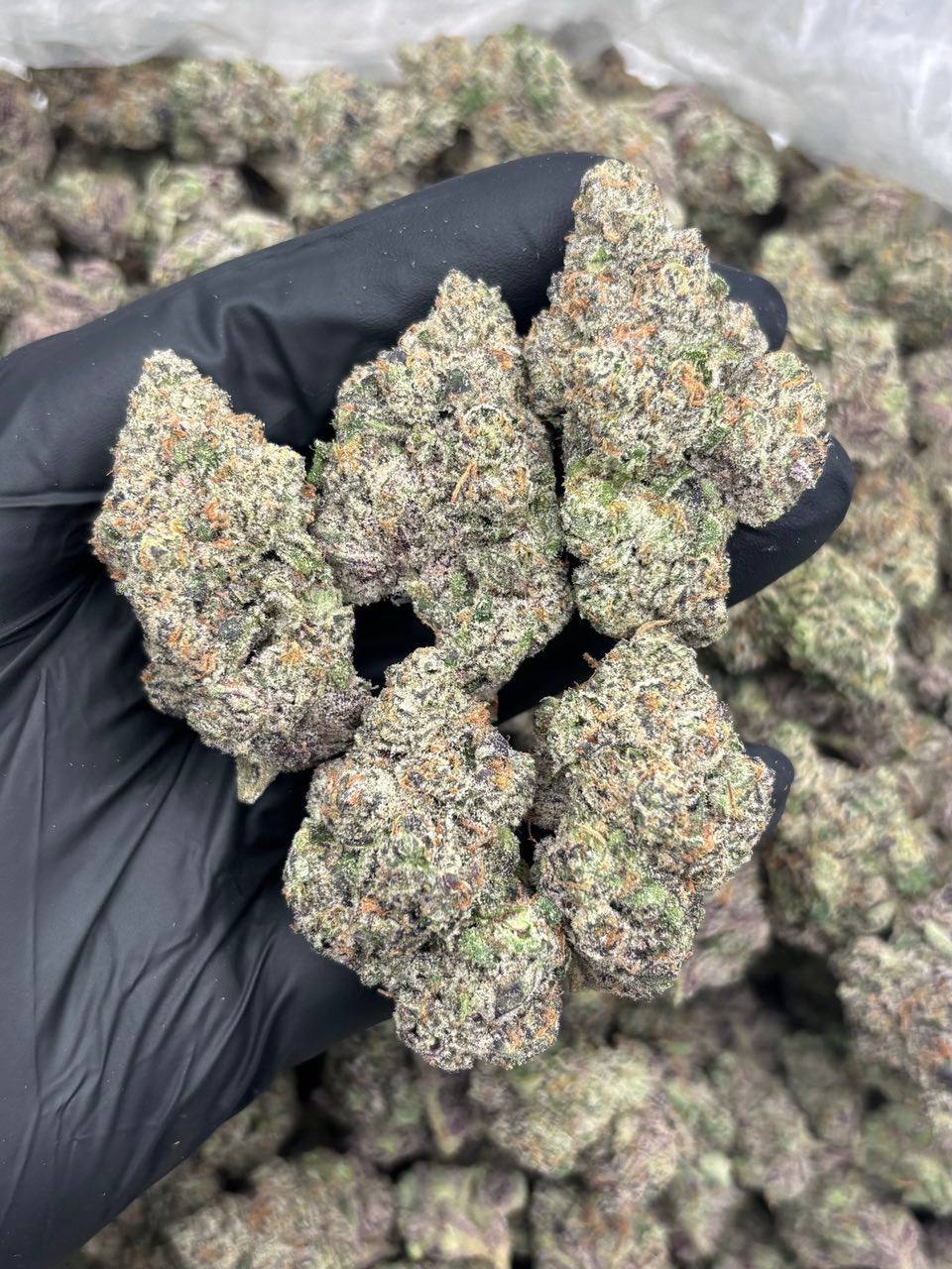peac tree strain peac tree strain