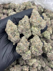 Peach Tree Strain peach tree strain