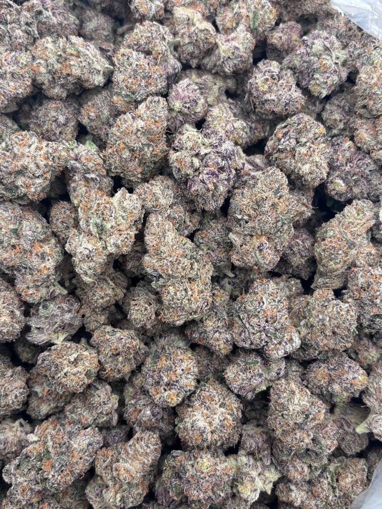 nerds strain nerds strain