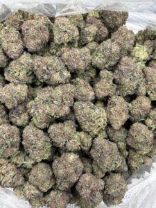 Strawberry Jammerz Strain strawberry jammerz strain