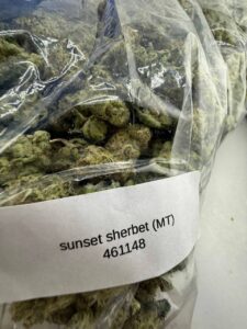 Sunset Sherbet Strain sunset sherbet strain