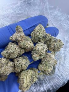 Sunset Sherbet Strain sunset sherbet strain