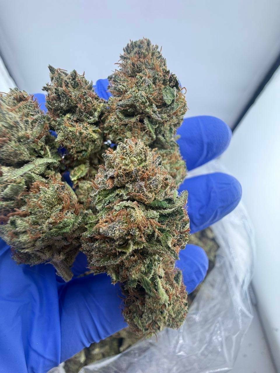 24k strain 24k strain