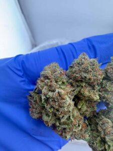 24k Strain 24k strain