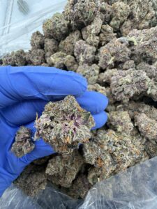 Cherry Taffy Strain cherry taffy strain