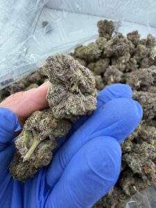 Cherry Taffy Strain cherry taffy strain