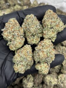 Cupcake Strain cupcake strain