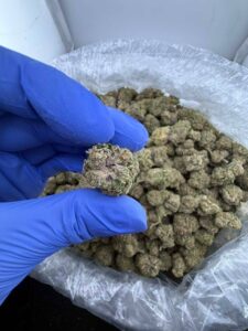 Hendrix Large Strain hendrix large strain