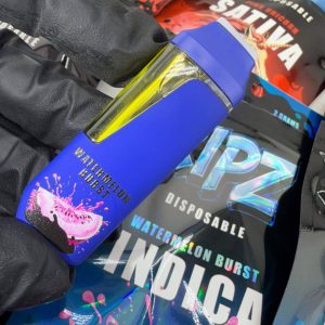 ripz 2g disposable